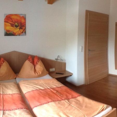 Haus Elise Appartamento Zell am See Esterno foto